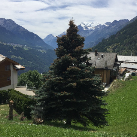 Bild 09.07.2022